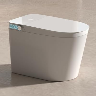 AOZITA Modern Smart Toilet with Bidet Built In, Auto Flush, Heated Seat, Warm Air Drying, Intelligent Tankless Toilet with Remote Control