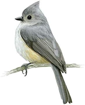 Walls By Me - Peel and Stick Poster Print White and Grey Birds Wall Art 3258-8in x 12in (20x31cm) -, Repositionable and Removable - Unframed