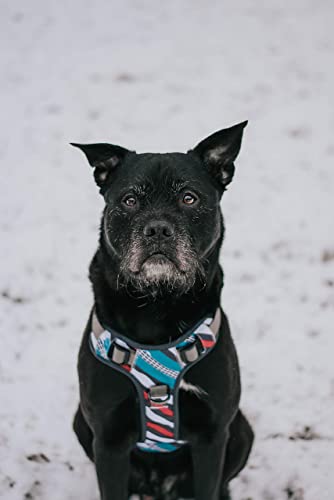 Embark Urban Dog Harness – Want To Stop Your Dog Pulling? Try Our No Pull Dog Harnesses For Xl Dogs, Large, Medium, Small Dogs Or Puppy. Soft, Comfortable, Size Adjustable Dog Vest Harness With Handle #TOP7