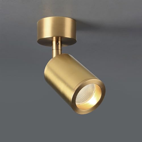 Image of Aisilan Solid Copper Surface Mounted Angle Adjustable LED Spot Light Golden Anti Glare Accent Lamp COB Ceiling Spotlight Warm White 7W for Hallway Kitchen Living Room