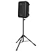 VEVOR Portable PA System with Microphone, 300W Powered, Sound System with 8 Channel Mixer, Dual 8'' Speakers, Wireless Bluetooth, Compact Stands, USB SD XLR RCA Inputs, for DJs Events Indoor &Outdoor
