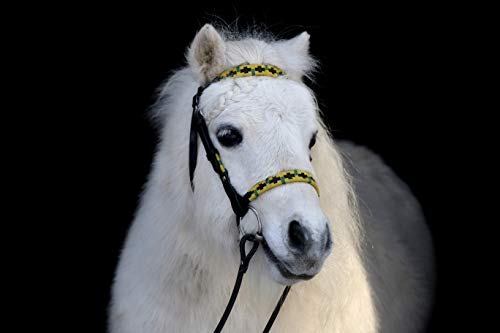 Western Trense Zaum Kopfstück Westerntrense Joe Minishetty Mini Shetty Leder Tysons (Shetty)