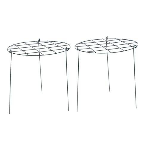 SUPVOX Climbing Frame Strawberry Stand 2pcs Grid Racks Plant Climbing Pole for Garden Use