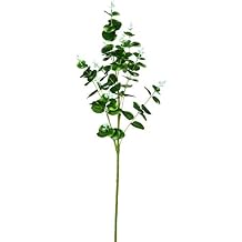 Vickerman Everyday 36" Artificial Gray/Green Money Leaf Spray 3 Pack - Faux Indoor Plant Spray - Greenery for Home Or Office Decor - Maintenance Free