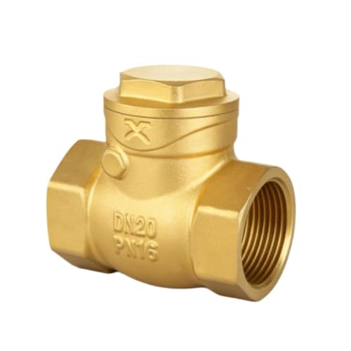 Clapet anti-retour DN20 résout les problèmes de reflux d'eau usée - 2