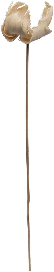 Vickerman Natural Botanicals 2.75" Palm Cap, White Wash on Stem. Includes 25 Pieces per Pack.