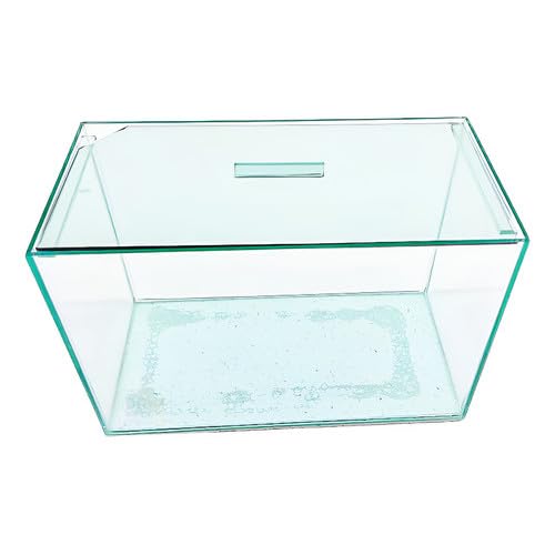 Aquário N2 Vidro Retangular 25x13x18 5lt Peixes Plantas