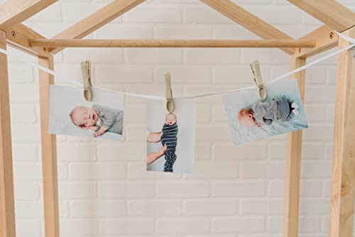 Greenleaf Classics Super Tough Clothespins. Heavy Duty And Durable. Great For Hanging Up Laundry, Or Multipurpose Around The House. (Tan) Set Of 24 #TOP3