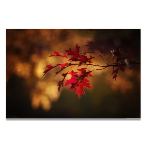 Lienzo de paisaje natural en rojo vibrante, canvas decorativo moderno para pared 30x45cm
