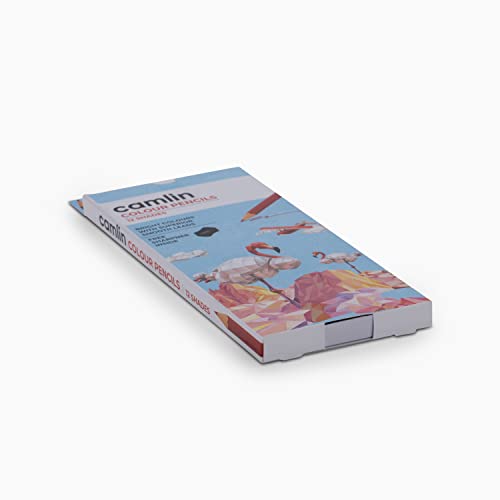 Image of Camel Camlin Kokuyo Oil Pastel (50 Shades) 4192566 Full Size Color Pencil, Assorted, 12 Pieces