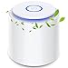 Purificador de Aire con Filtro HEPA H13, Purificador Aire de Escritorio que Elimina el 99,97% de Olores, Polvo, Humo, Polen, Alergias al Cabello de Mascotas, Función de Aromaterapia, Luz Nocturna