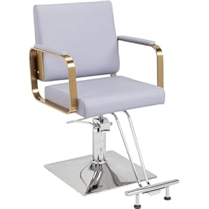 Salon Chair Styling Barber Chair, Beauty Salon Spa Equipment with Heavy Duty Hydraulic Pump, Adjustable Height & 360° Swivel for Barber Shop Hair Stylist, Max Load 330 lbs(Light Purple)