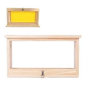 Qcwwy Bienenbeobachtungsbox mit Acrylplatten