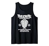Fossil Trilobite Paleontologist Trilobites