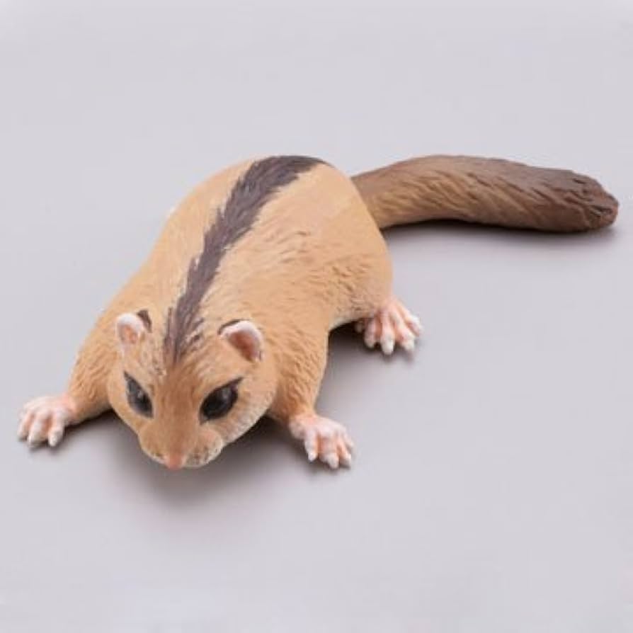 日本の動物コレクション8 日本アルプス編 その他 | endageism.com