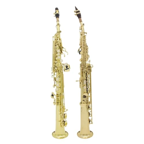 AgTbNX \vmTbNX Bb ^J{fBXg[gTbNXvtFbViTbNXtHyP[X[hp[c & ANZT[(Golden Sax)