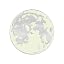Full Moon Nickel Plated