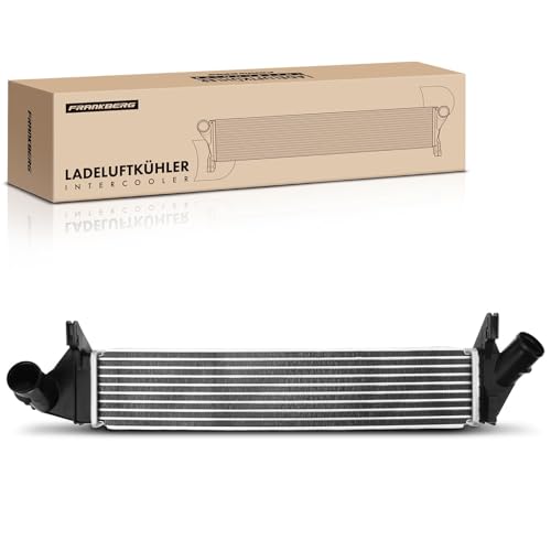 Frankberg Intercooler turbador compatible con Duster HS 2010-2018 Logan LS FS KS US 2008-2012 Sandero 2008-2012 Logan I LS KS 2008-Heute Replace # 8200409045
