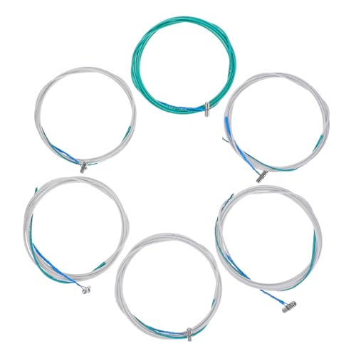 ERINGOGO 6�� ��ⶌ������p �i�C�����ƃX�`�[�����C���[�̌� ��� �C���p�[�c �A�N�Z�T���[