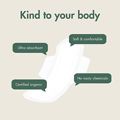Image of Eco by Naty Sanitary Pads - Plantbased and Absorbent Sanitary Pads for Women, Organic Cotton Menstrual Product, Better for Feminine Health (Super, 12 Count) (Pack of 2)