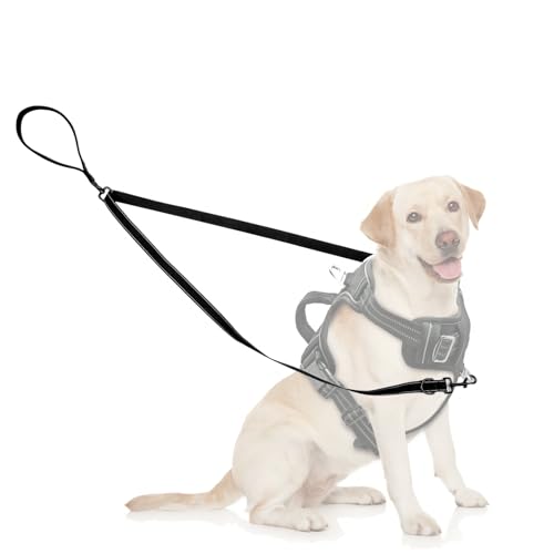 DIVINA VITAE Two Point Control Dog Leash Black