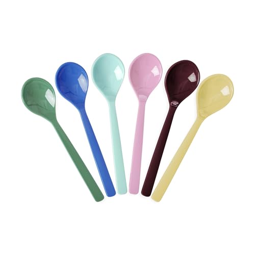 RICE Melamin Teelöffel Teaspoons - Show Your True Colors - 6er Set mehrfarbig