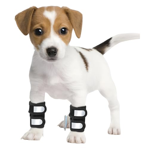 [Vailaipupy]pT|[^[ O֐ߕی ^E^E^Ή XvO}ňT|[g rߖh~ ܁EpEVPAp ˃e[vt }WbNe[v\ XS/S/M