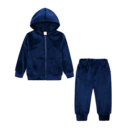 Toddler Kids Baby Boy Girl Clothes Unisex Solid Sweatsuit Long Sleeve Warm Fleece Pullover Hooded Tops (Navy, 2-3 Years)