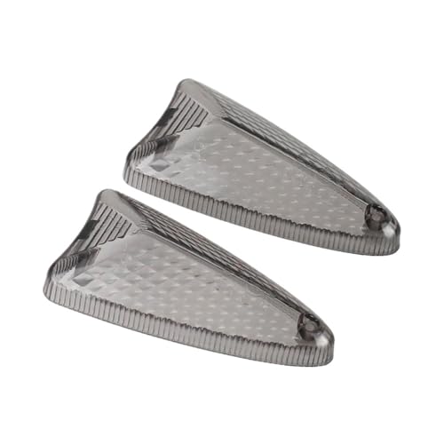 Clignotants moto haute visibilité avec ampoules pour SMV 1200 arrière