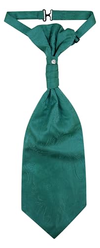Image of Vesuvio Napoli PreTied ASCOT Solid PAISLEY Color Cravat Men's Neck Tie 21 Colors
