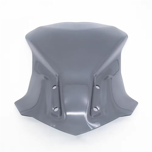 Extension de pare-brise pour G310GS voyage à moto sans fatigue