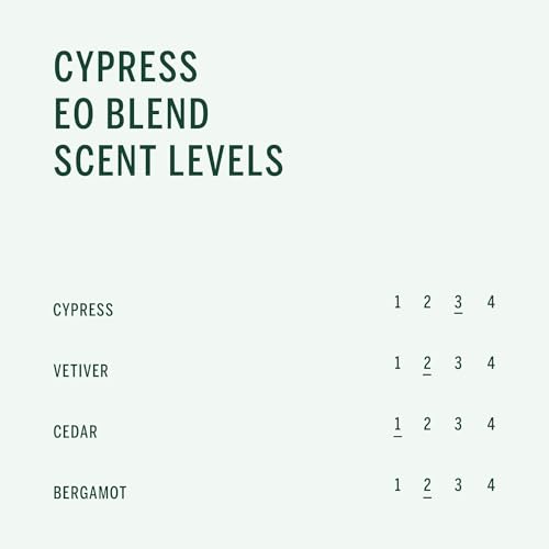 Corpus - Cypress Conditioner | Vegan, Cruelty-Free, Non-Toxic, Made In The USA (9 fl oz | 266 ml) - Image 5