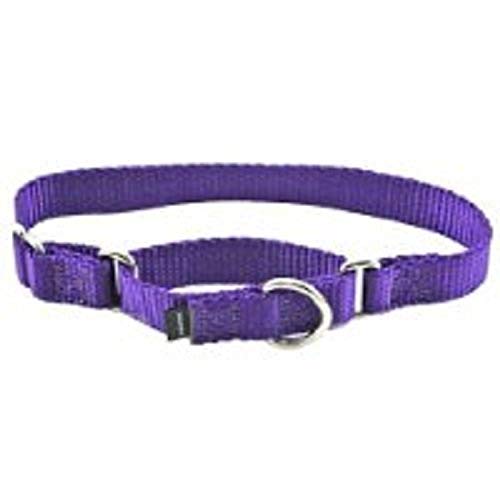 Buy PetSafe Adjustable Martingale Collar Only Tightens When Dogs Pull