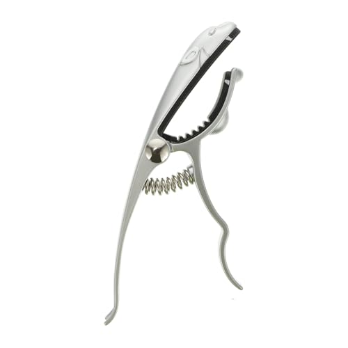 TIDTALEO ^M^[J|`[Nv Ў葀Ή yʃRpNg݌v yANZT[ AR[XeBbN GLM^[p 1