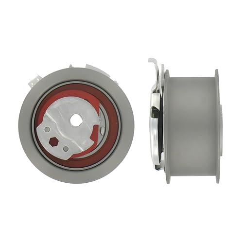 SKF VKM 11255 kit galet tendeur contre les bruits et ruptures de courroie