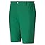 Amazon Green