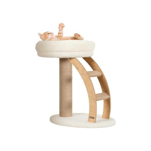 zolux - Albero per gatti 2 in 1, Montana, 55 x 38 x altezza 55 cm.