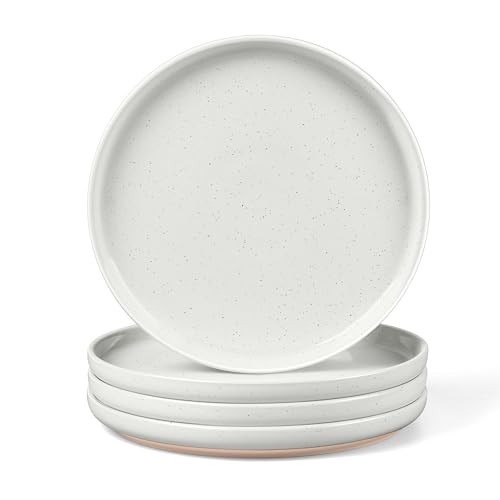 Image of LIANYU Dinner Plates Set of 4, 10.5 Inch Stoneware Plate for Kitchen Dining, Large & Round Ceramic Salad Dishes Set, Microwave, Oven & Dishwasher Safe, Scratch Resistant, Stackable, Snowy White