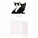 Carousel Worldwide, Cute Cats Wall Calendar 2026 Square
