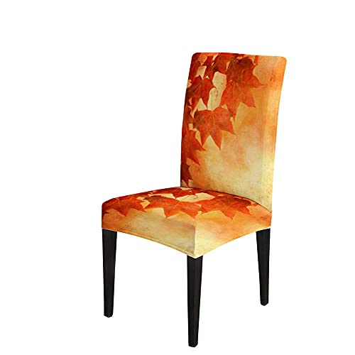 Bisead 20210821248897 Maple Chair Covers Removable Set Of 4 Vintage Dining Chair Slipcovers Yellow Autumn Fall Leaves Brown Decorative Seat Slipcovers thumb #2