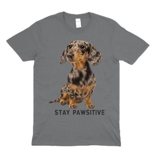 T-shirt teckel stay pawsitive en coton premium finitions soignées