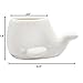 GeLive Set of 2 Whale White Ceramic Succulent Planter Air Plant Pot Window Box Decorative Container, 4 Inch, Indoor Outdoor Usage
