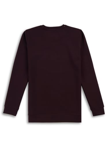 Image of Kidz Boys Maroon Printed Crew Neck Full Sleeve T-Shirt