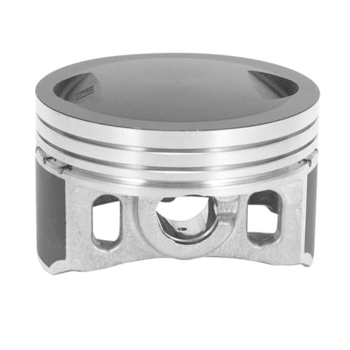 62 ~[gsXg 13 ~[gsOZbgLbgAZuԃI[goCiƌ݊ CG150 CGH150 ZJ150 irbis GS150 150Cc