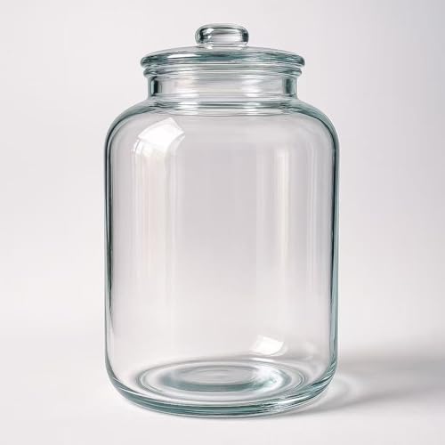 Hpngal Large Glass Jars with Lids, 6 Gallon Glass Canisters