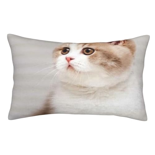  ܂Jo[ 􂦂 t@Xi[ lC CeA xbh Jo[ s[P[X EbhXgbN Li12j 킢 Aj LN^[ 20"X30"