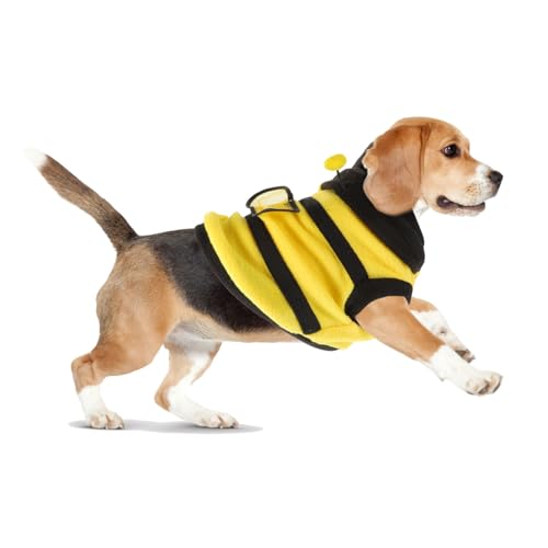 Disfraz para perro y gato Abeja S 2-3 KG miniatura 6