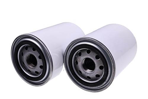 LSSOCH 2PCS F54725 Fuel Filter Compatible With 24006 LFF2 BF7750 FF5012