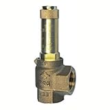 RIEGLER 172936-222.04-0,3 Eck-Sicherheitsventil, Sattdampf, G 3/4, Ansprechdruck 0,3 bar, 1Stk