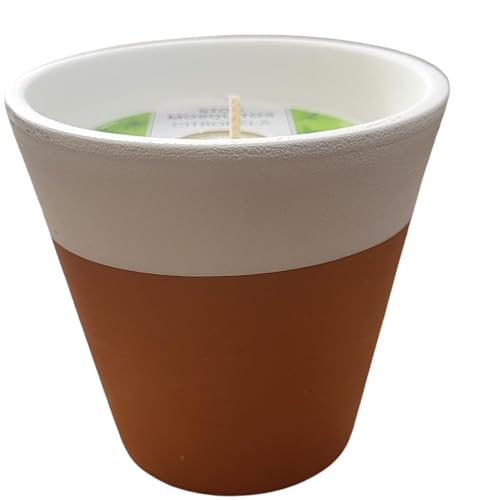 Vela de Citronela de Terracota para Interior y Exterior caja 6 unidades